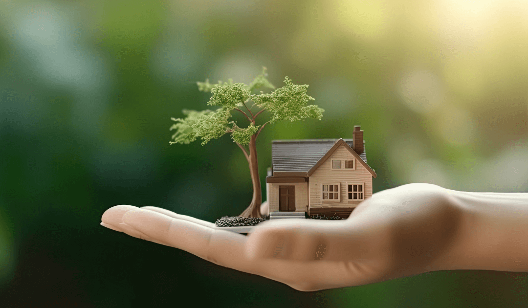 hand holding small house with tree growing out it