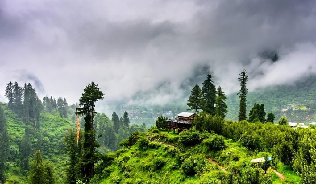 Nature walk in kasauli