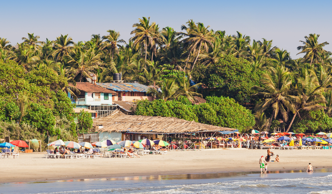 Beaches party in Goa